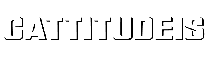 Relief Grotesk Wide  Free Fonts Download