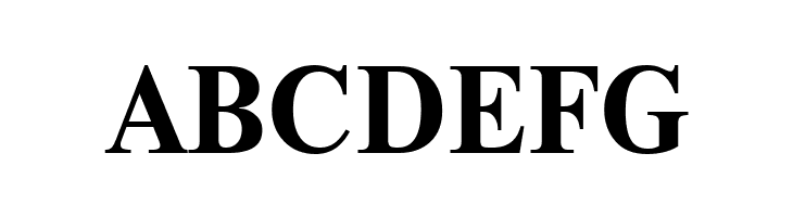 NewtonCTT Bold  Free Fonts Download