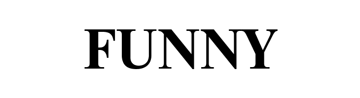 NewtonCTT Bold  Free Fonts Download