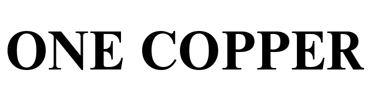 NewtonCTT Bold  Free Fonts Download