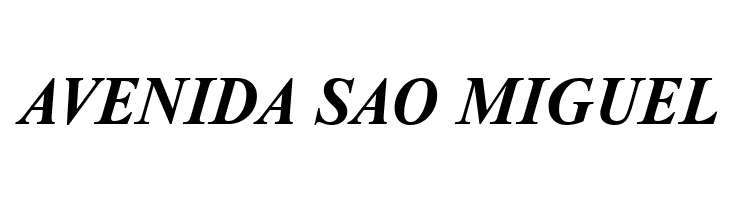 NewtonCTT BoldItalic  Free Fonts Download