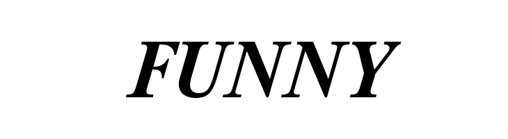 NewtonCTT BoldItalic  Free Fonts Download