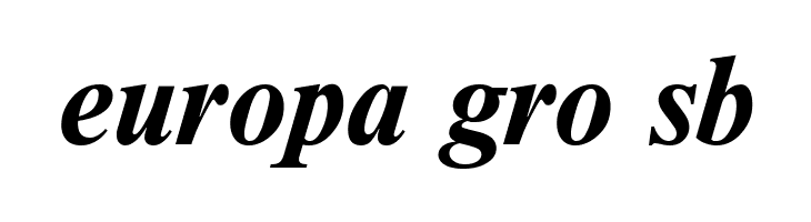 NewtonCTT BoldItalic  Free Fonts Download