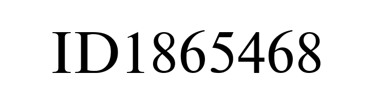 NewtonCTT  Free Fonts Download