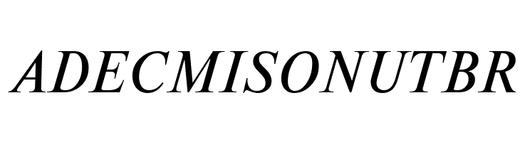 NewtonCTT Italic  Free Fonts Download