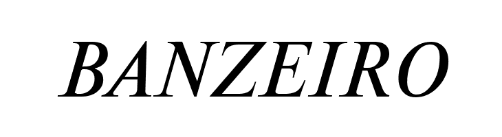 NewtonCTT Italic  Free Fonts Download