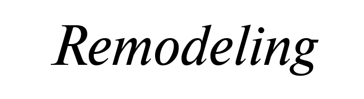 NewtonCTT Italic  Free Fonts Download