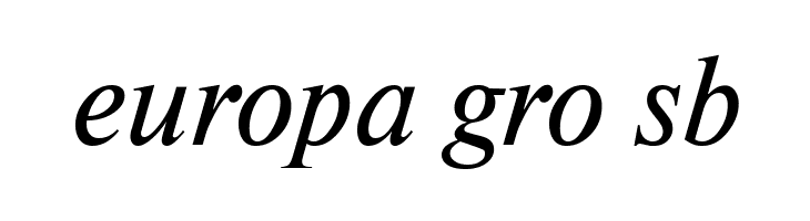 NewtonCTT Italic  Free Fonts Download