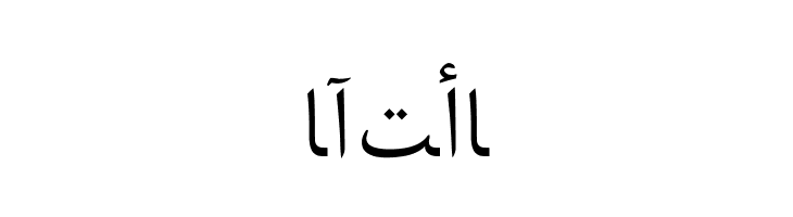 Arabic Web  Free Fonts Download