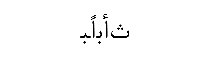 Arabic Web  Free Fonts Download