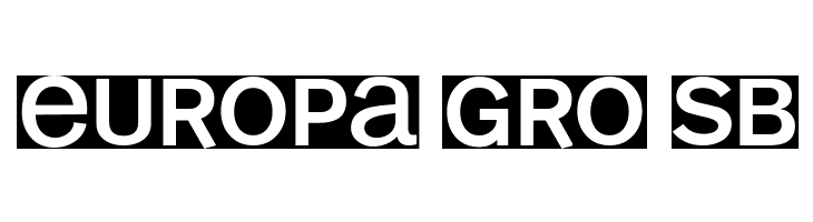 KL1MonoSansInvers  Free Fonts Download