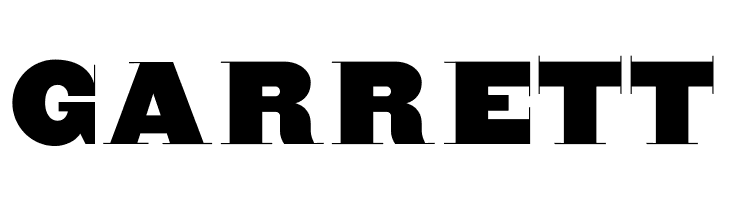 BlaxxerifaBeta  Free Fonts Download