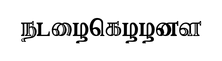 Needhimathi Regular  Free Fonts Download