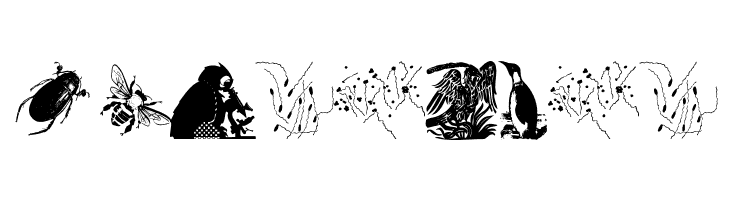 RareAnimals  Free Fonts Download