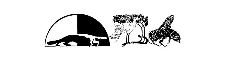 RareAnimals  Free Fonts Download