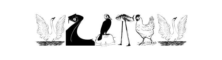 RareAnimals  Free Fonts Download