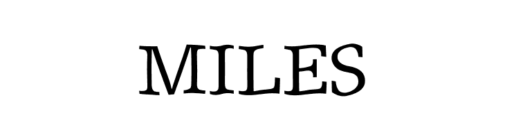 ShakeySlabserif  Free Fonts Download