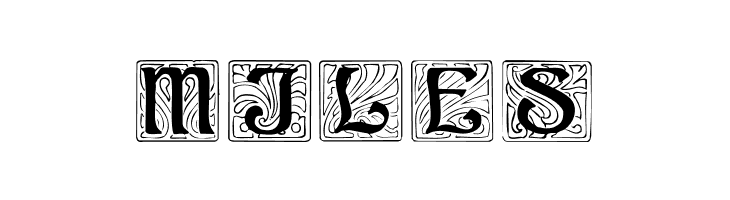 Ann Regular  Free Fonts Download