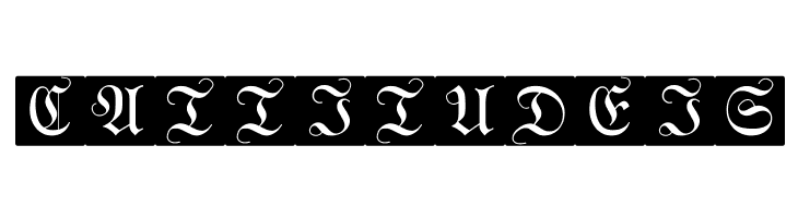 WittewittMajuscles-FlourishBricks  Free Fonts Download