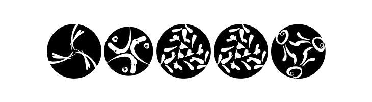 RosettaCalligraphiaOne  Free Fonts Download