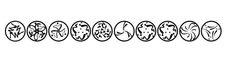 RosettaCalligraphiaOne  Free Fonts Download