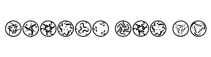 RosettaCalligraphiaOne  Free Fonts Download