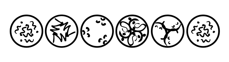 RosettaCalligraphiaOne  Free Fonts Download