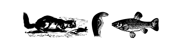 AnimalsOldfashion  Free Fonts Download