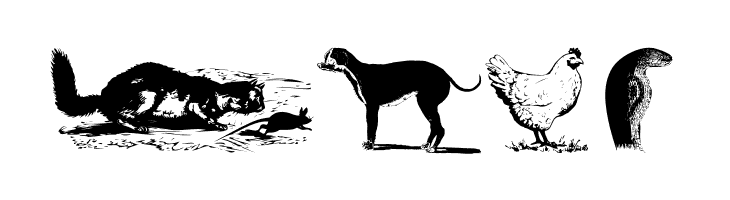 AnimalsOldfashion  Free Fonts Download