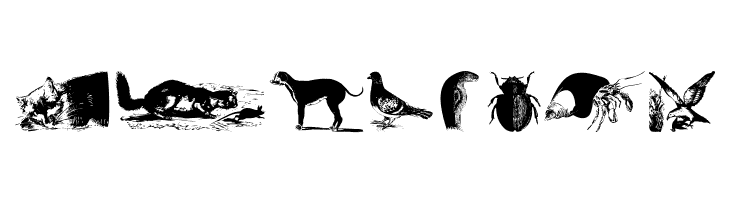 AnimalsOldfashion  Free Fonts Download