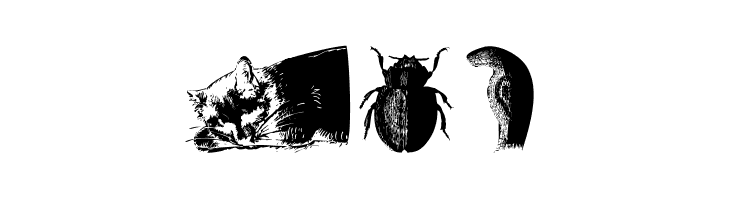 AnimalsOldfashion  Free Fonts Download