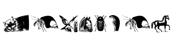 AnimalsOldfashion  Free Fonts Download