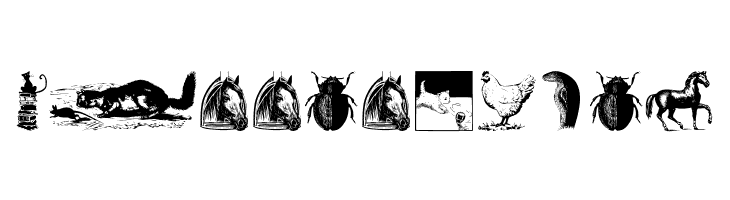 AnimalsOldfashion  Free Fonts Download