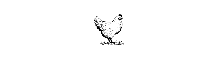 AnimalsOldfashion  Free Fonts Download