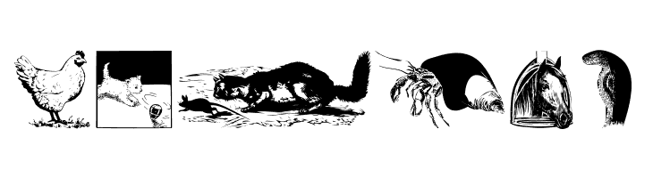 AnimalsOldfashion  Free Fonts Download