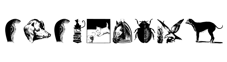 AnimalsOldfashion  Free Fonts Download