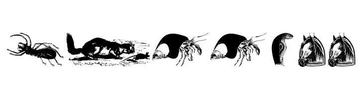 AnimalsOldfashion  Free Fonts Download