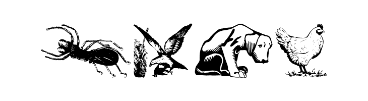 AnimalsOldfashion  Free Fonts Download