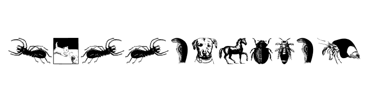 AnimalsOldfashion  Free Fonts Download
