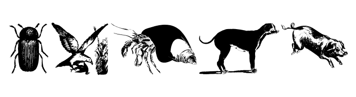 AnimalsOldfashion  Free Fonts Download