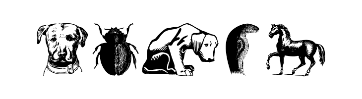 AnimalsOldfashion  Free Fonts Download