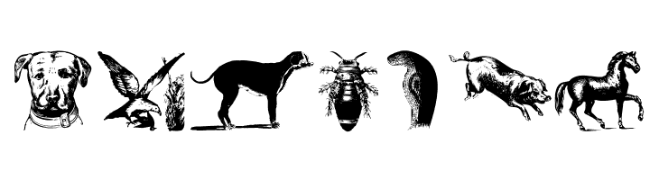 AnimalsOldfashion  Free Fonts Download