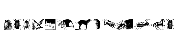 AnimalsOldfashion  Free Fonts Download
