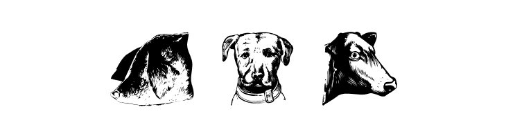 AnimalsOldfashion  Free Fonts Download