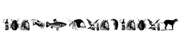 AnimalsOldfashion  Free Fonts Download