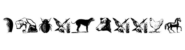 AnimalsOldfashion  Free Fonts Download