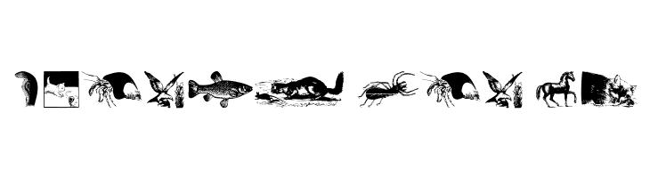 AnimalsOldfashion  Free Fonts Download