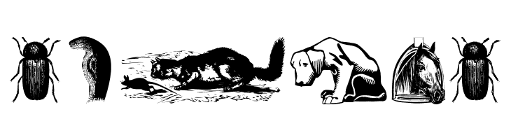 AnimalsOldfashion  Free Fonts Download