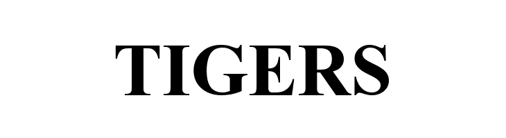 ArTarumianMatenagir  Bold  Free Fonts Download