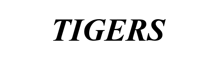 ArTarumianMatenagir  Bold Italic  Free Fonts Download